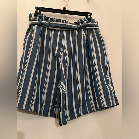 Appraisal Blue and White High Waist Striped Shorts with Belt - Picture 7 of 11